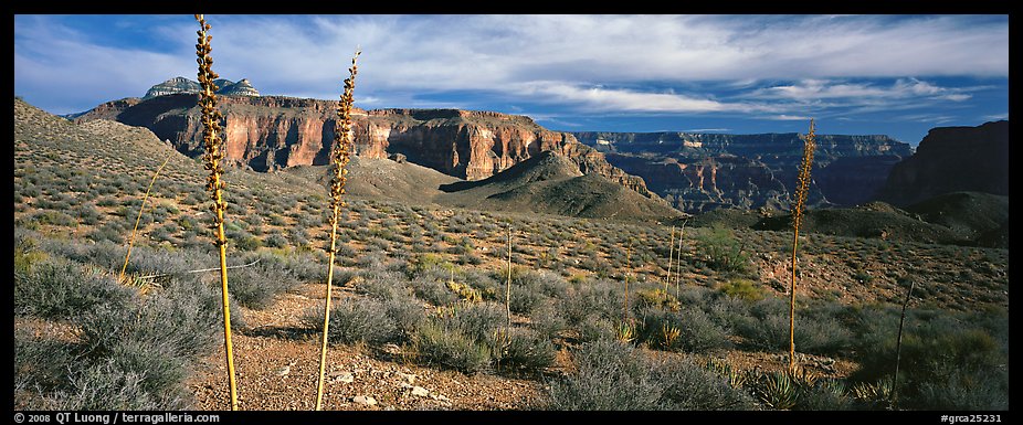 Inner Canyon scenery. Grand Canyon  National Park (color)