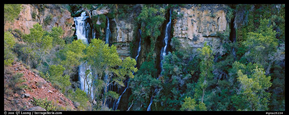 Oasis of trees and Thunder Spring fall. Grand Canyon National Park (color)