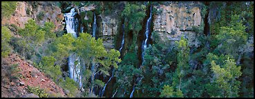 Oasis of trees and Thunder Spring fall. Grand Canyon National Park (Panoramic color)