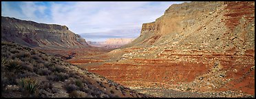 Havasu Canyon. Grand Canyon  National Park (Panoramic color)