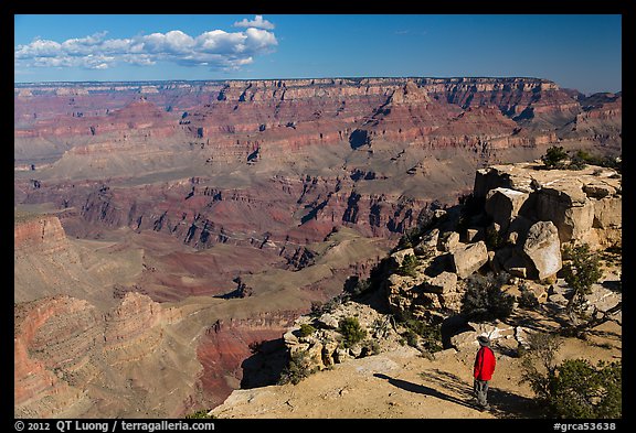 Visitor looking, Moran Point. Grand Canyon National Park, Arizona, USA.