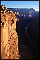 Vertical cliff and Colorado River at Toroweap. Grand Canyon National Park, Arizona, USA.