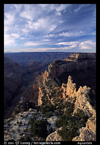 Wotan's Throne seen from Cape Royal, early morning. Grand Canyon National Park (color)