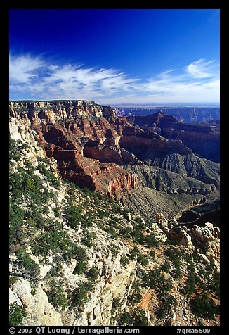 Cliffs near Cape Royal, morning. Grand Canyon National Park (color)