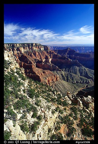 Cliffs near Cape Royal, morning. Grand Canyon National Park, Arizona, USA.