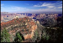 View from Roosevelt Point, morning. Grand Canyon National Park, Arizona, USA. (color)