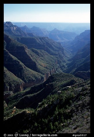 Green side canyon on  road to Point Sublime. Grand Canyon National Park (color)