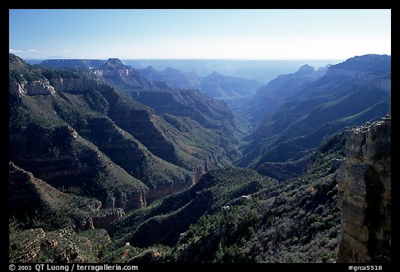 Lush side canyon, North Rim. Grand Canyon National Park (color)
