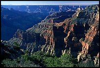 Walls from Bright Angel Point, morning. Grand Canyon  National Park, Arizona, USA.