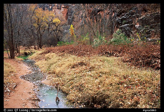 Creek in Havasu Canyon, late fall. Grand Canyon National Park, Arizona, USA.