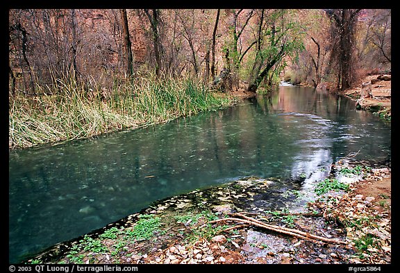 Havasu creek. Grand Canyon National Park (color)