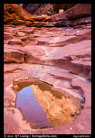 Reflection in pool, North Canyon. Grand Canyon National Park (color)