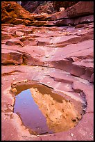 Reflection in pool, North Canyon. Grand Canyon National Park ( color)