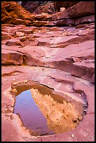 Reflection in pool, North Canyon. Grand Canyon National Park, Arizona, USA.