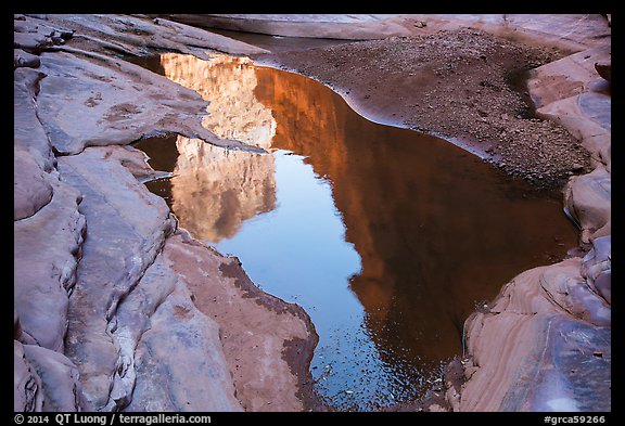 Cliffs reflected in pool, North Canyon. Grand Canyon National Park, Arizona, USA.