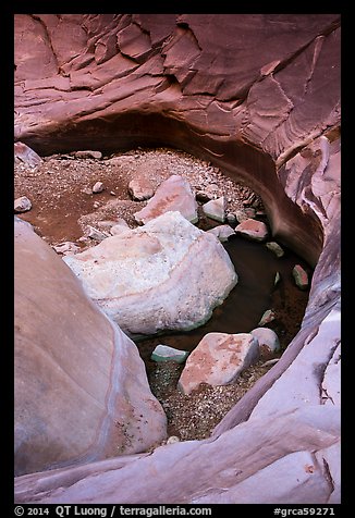 Pool and rocks, North Canyon. Grand Canyon National Park, Arizona, USA.