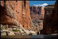 Huge Redwall limestone canyon walls in Marble Canyon. Grand Canyon National Park ( color)