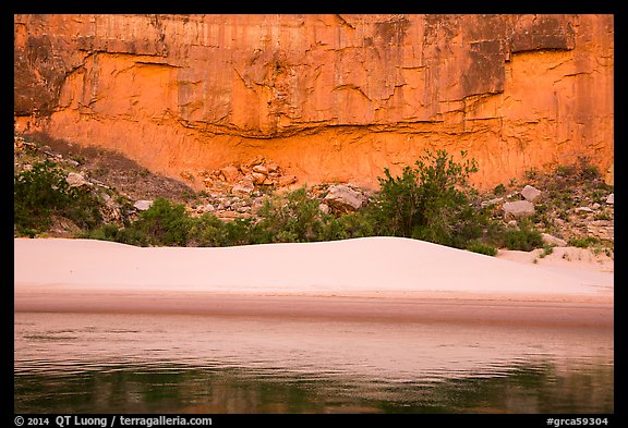 Sand dunes and trees below Redwall limestone canyon walls. Grand Canyon National Park (color)