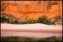 Sand dunes and trees below Redwall limestone canyon walls. Grand Canyon National Park ( color)