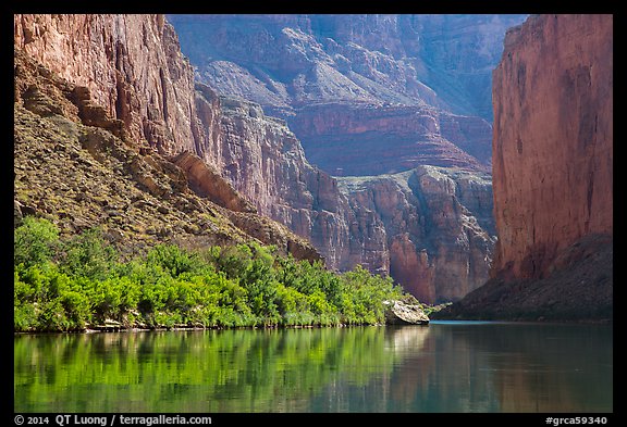 Colorado River and slope with vegetation in the spring, Marble Canyon. Grand Canyon National Park (color)