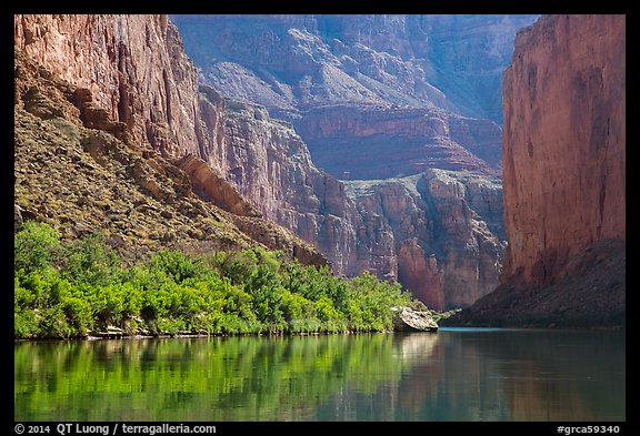 Colorado River and slope with vegetation in the spring, Marble Canyon. Grand Canyon National Park, Arizona, USA.