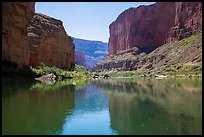 Canyon walls, Colorado River, vegetation, and reflections. Grand Canyon National Park, Arizona, USA.