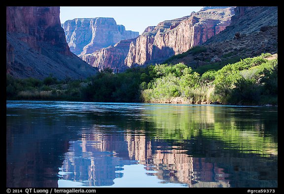 Cliffs and vegetation reflected in Colorado River, morning. Grand Canyon National Park (color)