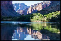 Cliffs and vegetation reflected in Colorado River, morning. Grand Canyon National Park, Arizona, USA.