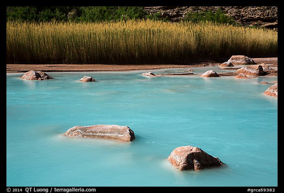 Rocks, reeds, and Little Colorado River. Grand Canyon National Park (color)