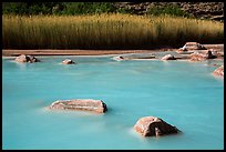 Rocks, reeds, and Little Colorado River. Grand Canyon National Park, Arizona, USA.