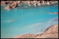 Turquoise waters of the Little Colorado River. Grand Canyon National Park ( color)
