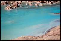 Turquoise waters of the Little Colorado River. Grand Canyon National Park, Arizona, USA.