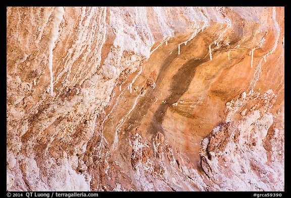 Alcove with salt stalagtites. Grand Canyon National Park (color)