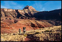 Backpackers, Escalante Route trail. Grand Canyon National Park, Arizona, USA.