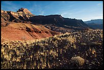 Dark plateau with sparse grasses, early morning. Grand Canyon National Park ( color)