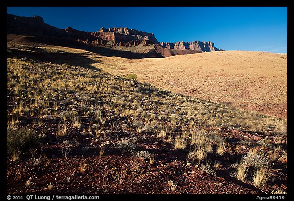 Slopes and South Rim, early morning. Grand Canyon National Park (color)