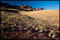 Slopes and South Rim, early morning. Grand Canyon National Park ( color)