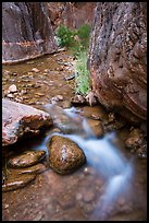 Clear Creek gorge. Grand Canyon National Park ( color)