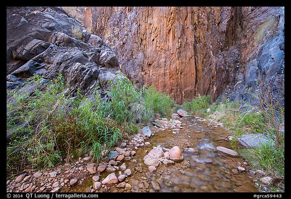 Cliffs and stream, Clear Creek. Grand Canyon National Park, Arizona, USA.