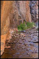 Rock walls and stream, Clear Creek gorge. Grand Canyon National Park ( color)