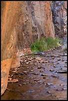 Rock walls and stream, Clear Creek gorge. Grand Canyon National Park, Arizona, USA.