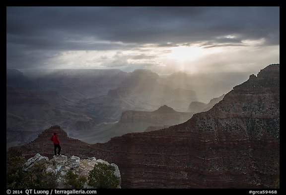 Visitor looking, South Rim near Mather Point. Grand Canyon National Park, Arizona, USA.