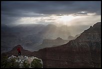 Visitor looking, South Rim near Mather Point. Grand Canyon National Park, Arizona, USA.