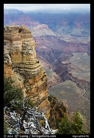 Snow on branches and Mather Point. Grand Canyon National Park, Arizona, USA.