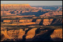 Surprise Canyon at sunset from Twin Point. Grand Canyon National Park ( color)