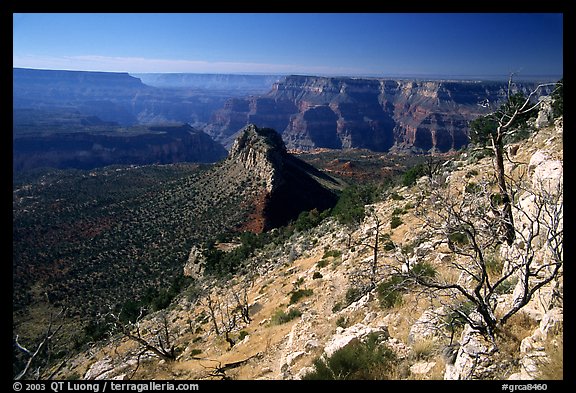 Bridger Knoll and burned slope from Monument Point, morning. Grand Canyon National Park (color)