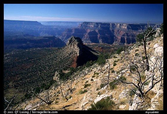 Bridger Knoll and burned slope from Monument Point, morning. Grand Canyon National Park, Arizona, USA.