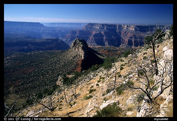 Bridger Knoll and burned slope from Monument Point, morning. Grand Canyon National Park, Arizona, USA.