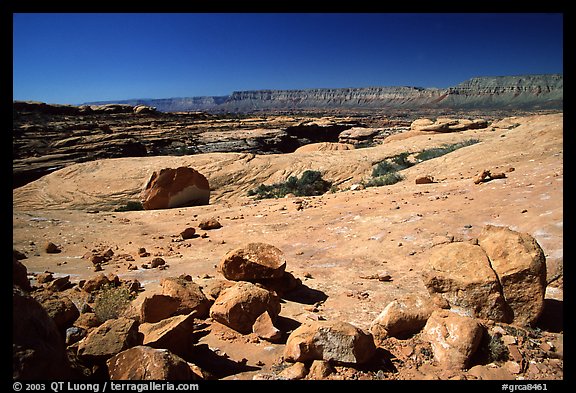 Esplanade, mid-day. Grand Canyon National Park (color)