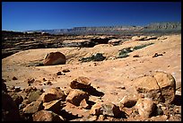 Esplanade, mid-day. Grand Canyon National Park ( color)